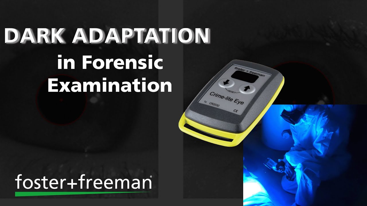 Solving Crimes in the Dark: How Forensics is Using this Fascinating Technique!