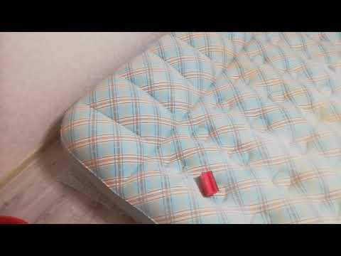 Видео на YouTube
