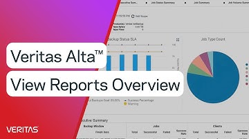 Veritas Alta™ View Reports Overview