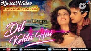 Dil Kehta Hai (दिल कहता है) Song Lofi music 🎶 Slowed Reverb |Lofi |90s #slowed #vairal #oldsong