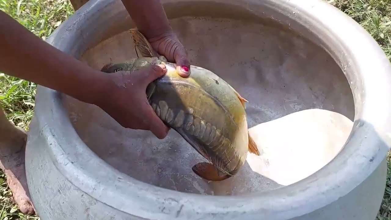 New Best Hook Fishing Video 2022 Little Boy Hunting Big Fish With