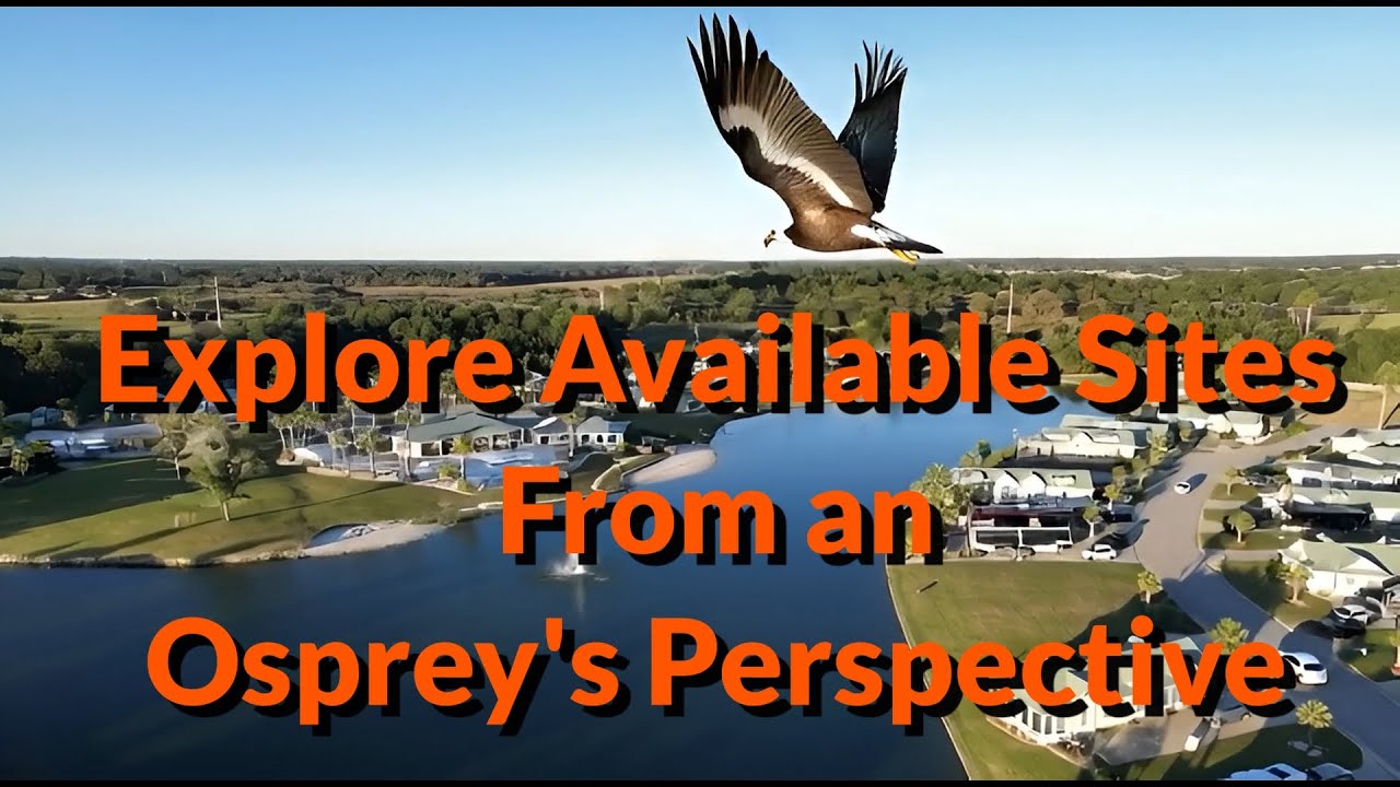 Lake Osprey RV Resort – Aerial Tour from an Osprey's Perspective!