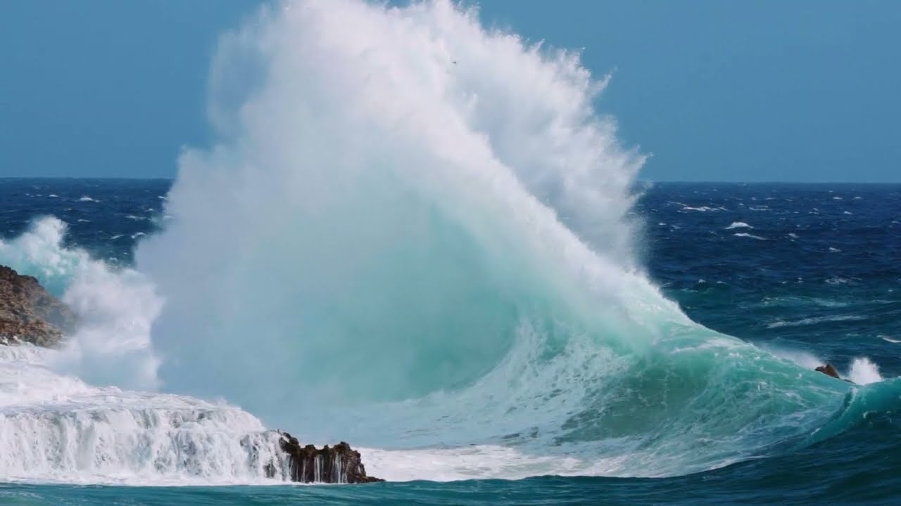 Aruba's Nature - Aruba Conservation Foundation Official Video