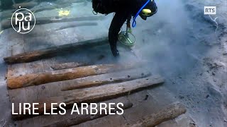 Fabien étudie l'âge du bois et des villages lacustres engloutis par les eaux