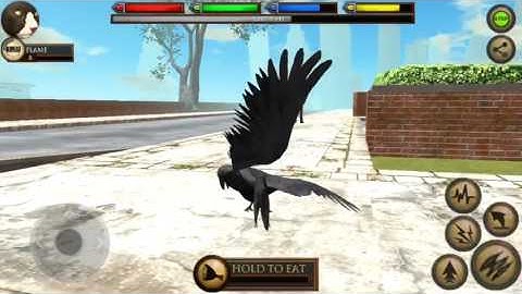 Ultimate cat simulator