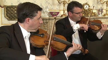 Joseph MAYSEDER :  String Quartet Nr. 2 g-Moll, op. 6, Ausschnitt - Wiener Mayseder Ensemble
