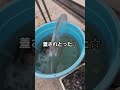 冬の氷と戦う男 #shorts
