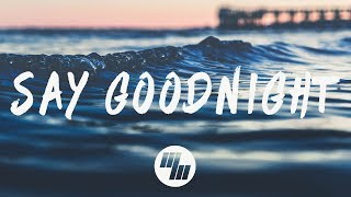 Aash Mehta - Say Goodnight (Lyrics / Lyric Video) ft. Capelle & Gavin Garris