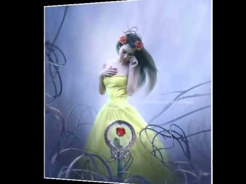 صابر الرباعي صرخه