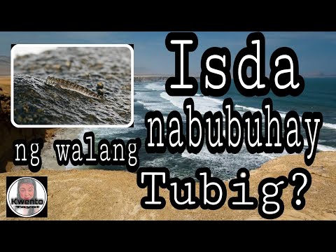 Video: Maayos Na Tuyo Ang Isda Sa Bahay