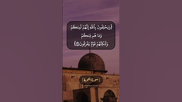 سورة التوبة الآية ٥٥ الى ٥٧ بصوت الشيخ محمد صديق المنشاوي
