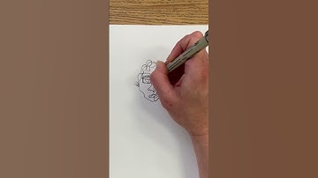 Contour Drawing Portraits | Continuous Line Drawing #shorts
