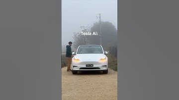 Never underestimate Tesla AI 😂 #teslamodely #tesla