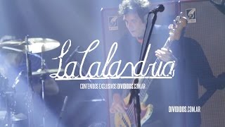 DIVIDIDOS -Elefantes en Europa - Teatro Coliseo 12/05/2016 chords