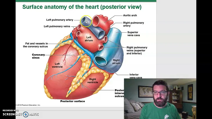 Bio 152 Ch. 18 part 1