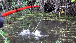 Disini ikan yang datangi pemancing karena kelaparan #SG-375