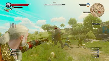 The Witcher 3 - David and Golyat Trophy - No Skills, Only Standard Crossbow.