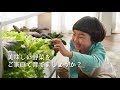 お部屋で安全で新鮮な葉野菜を育てて、美味しく食べましょう! 家庭菜園ポットポット