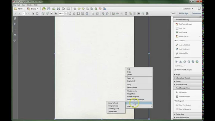 Adobe Acrobat XI: Add Background Image