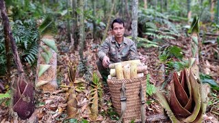 Day 6 went to the forest to look for fresh bamboo shoots