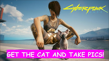 Get Nibbles the cat and take pictures - Cyberpunk 2077 - How to guide