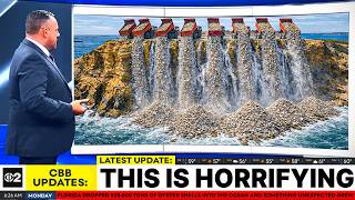 AFlorida Dropped 500,000 Tons of Oyster Shells Into the Ocean and Something Unexpected Grew