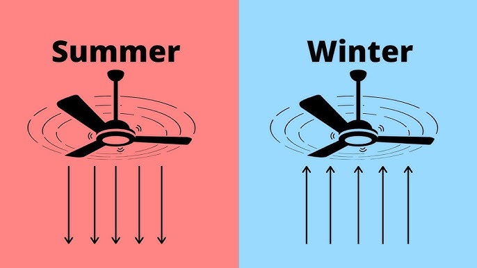 Ceiling Fan Direction Summer Vs