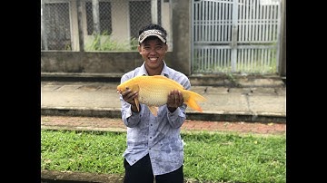 CÂU CÁ GIẢI TRÍ | TẬP 6: CẦU RẠCH TÔM NHÀ BÈ