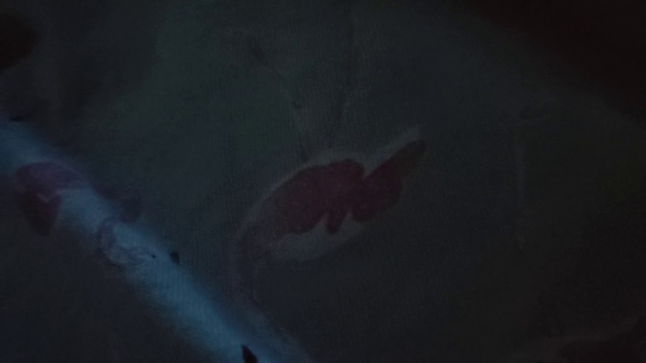 my stomach is making noises after eating a chicken Caesar wrap YouTube