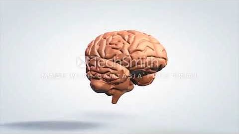 Create a live action explainer video