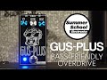 Summer School Electronics // Gus-Plus Bass-Friendly Overdrive