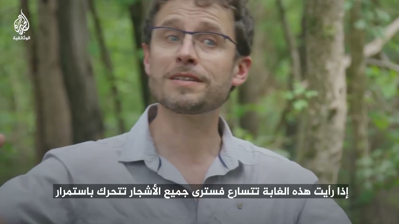 تميل ولا تنكسر.. كيف تستعيد الأشجار المنحنية وضعها الطبيعي مع مرور السنين؟