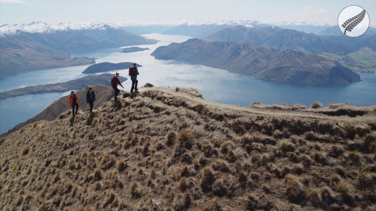 travel new zealand in a minute