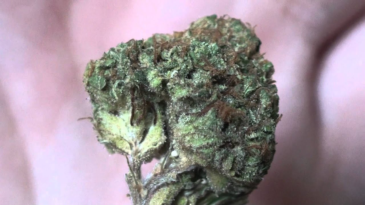 Private Reserve OG Review