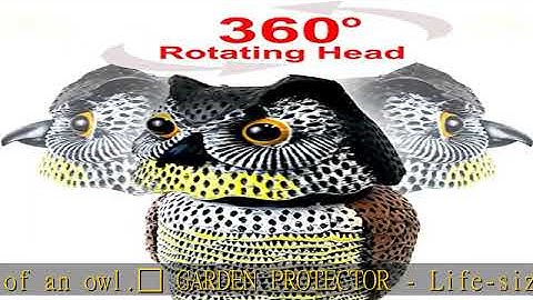 GiftExpress 2 Pk 15.5" Scarecrow Owl Decoy with Rotating Head Statue, Pest Repellent, Bird Control,