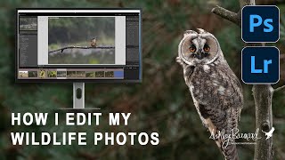 How I edit my wildlife photos screenshot 3