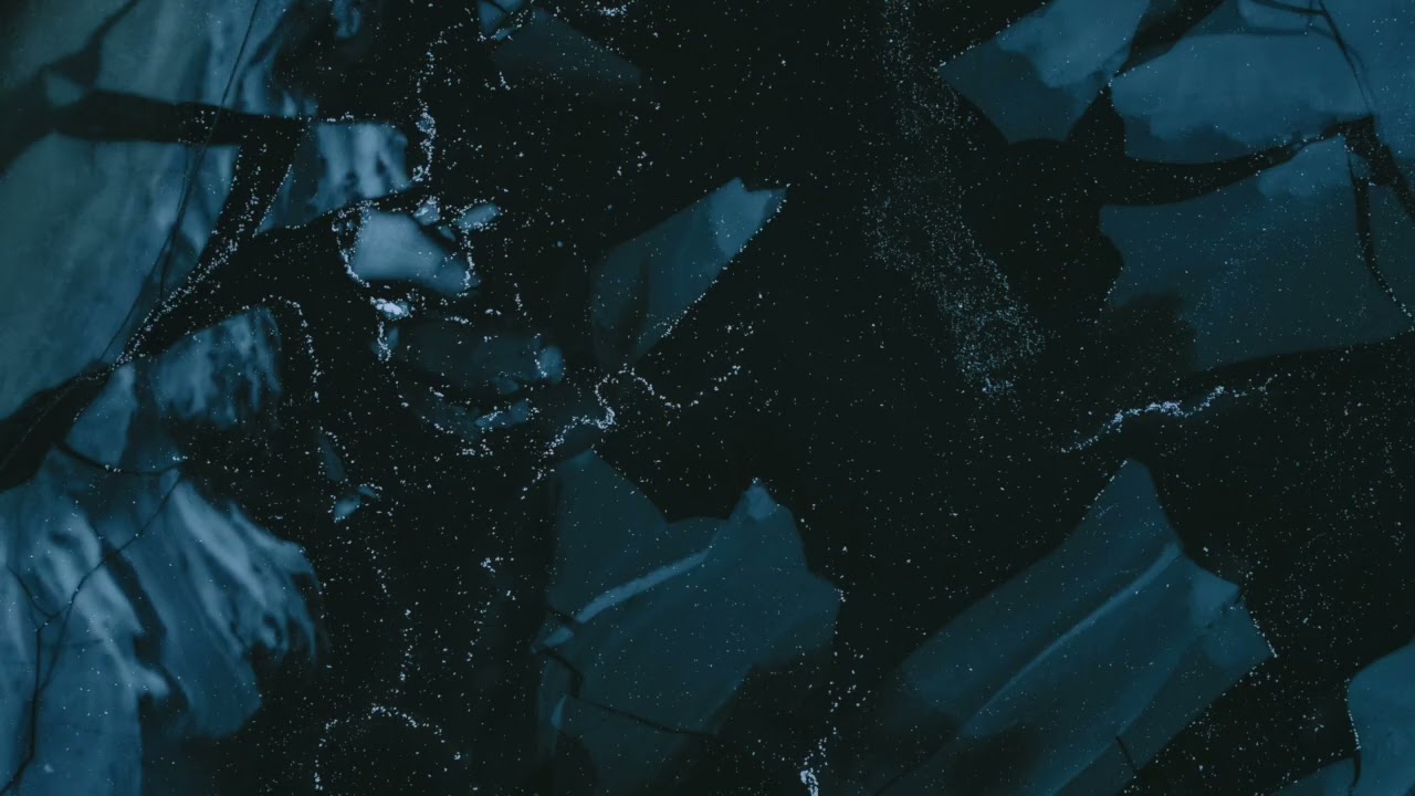 Playlist l 우리는 모두 외로운 고래다