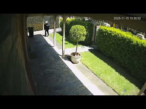 Adelaide | Porch Pirate | Mile End 17-Nov-2025