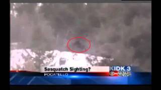 Evidence of a Big Foot in Idaho