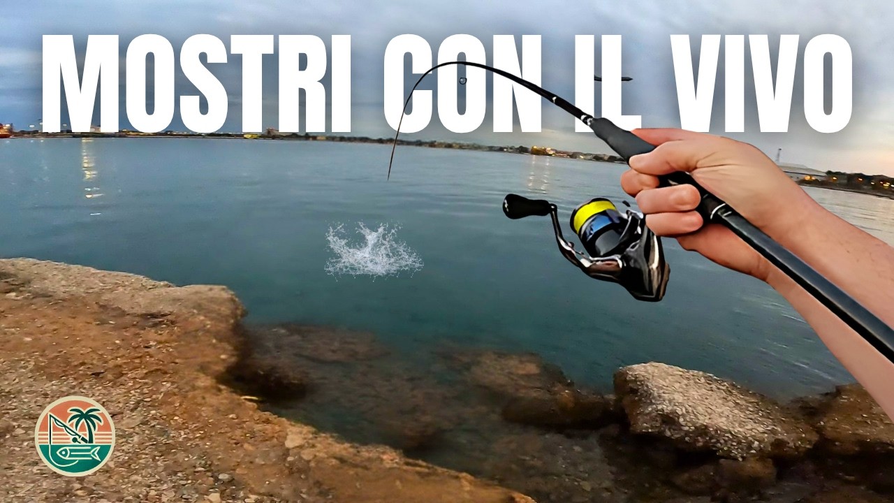 PESCI ENORMI CONTRO CEFALI VIVI E CANNE DA SPINNING - Utilizzo Improprio ep.6