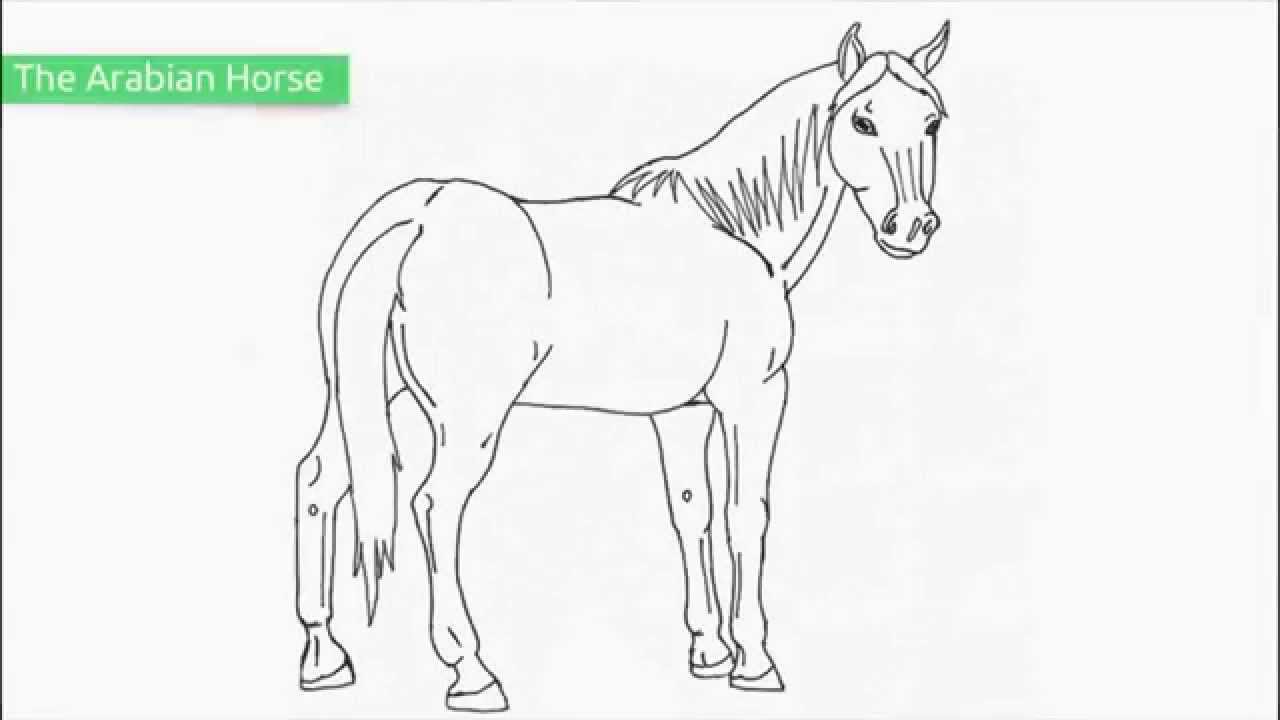 Top 25 Free Printable Horse Coloring Pages - YouTube