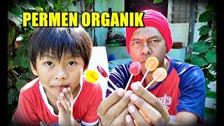 Permen LOLIPOP Organik YUM EARTH & WEDDERSPOON