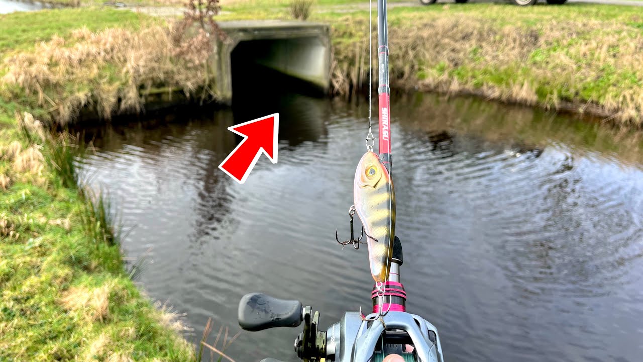 Hechtangeln am Polder