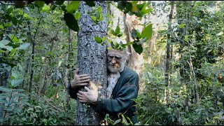 El hombre que planta árboles (Documental completo) 2015