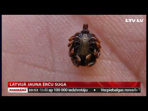 Video: Kāpēc masa nav raksturīga īpašība?