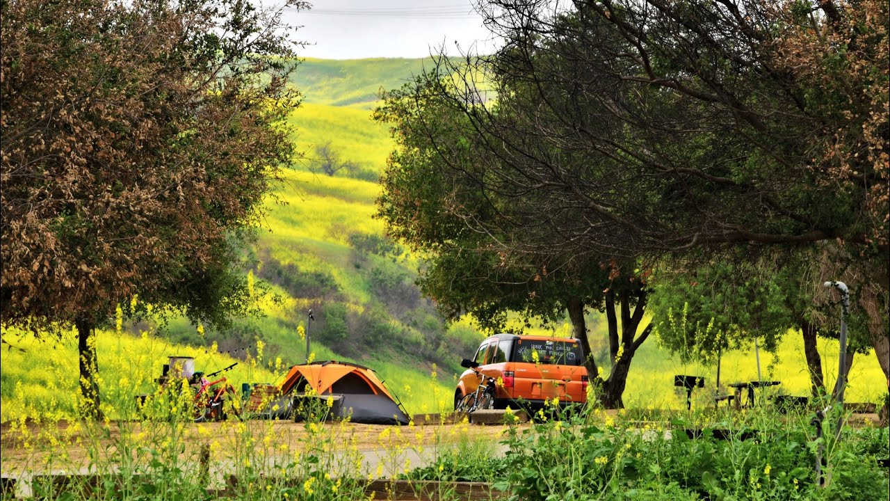 Chino Hills State Park | RVING| Camping |hiking| 春季山花烂漫时的奇洛岗州立公园路营地体验｜摄影｜徒步