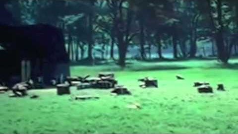 The Hunger Games - The Final Countdown