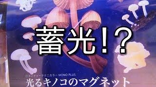 ヲタクのレビュー！ 本日は蓄光かもしれないガチャ「光るキノコのマグネット」を紹介するぞ！