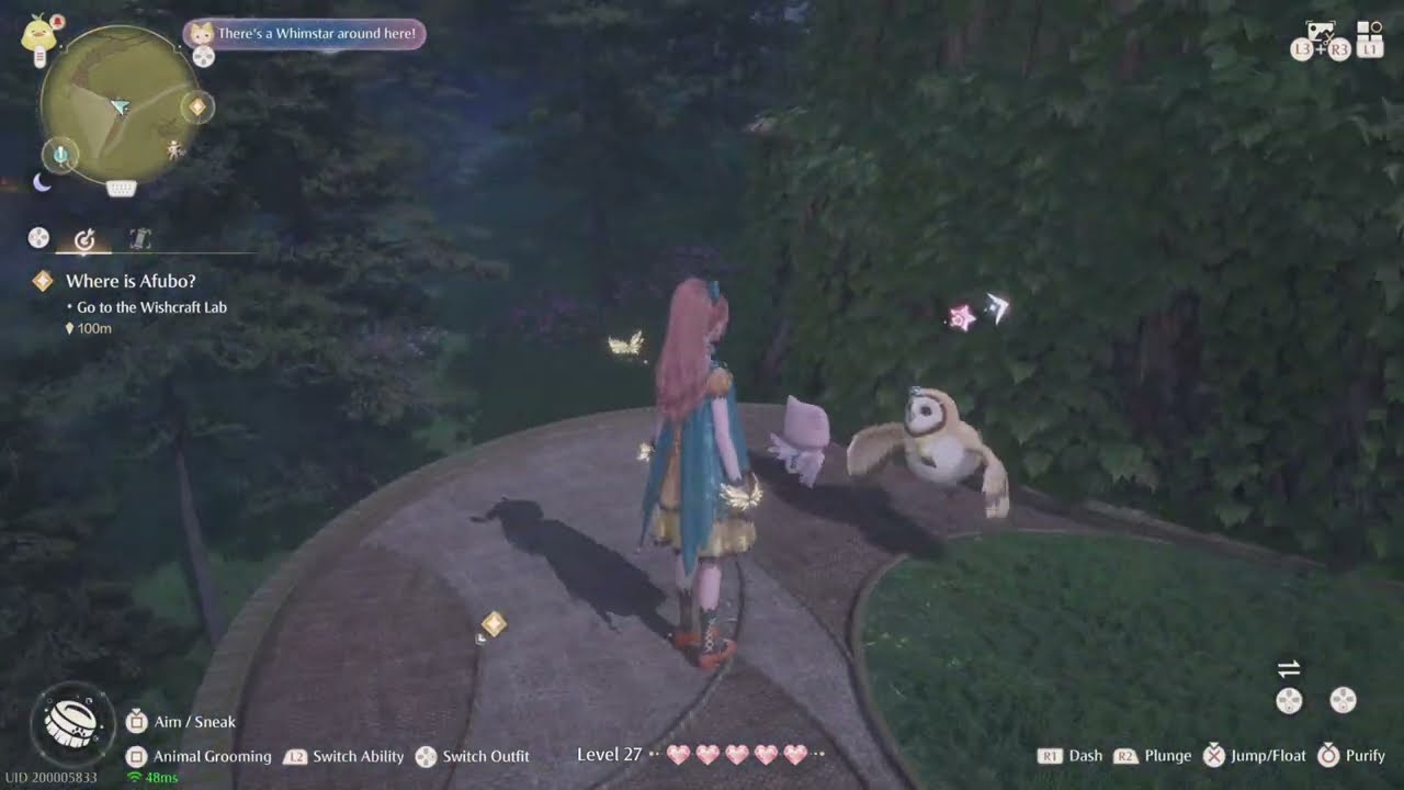 Infinity Nikki Hooded Feather from Hooded Owl Wishing Woods