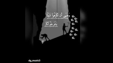 وعسى ان تكرهوا شيئا وهو خير لكم 😔//تلاوة بصوت جميل.. حالات واتس اب🙏